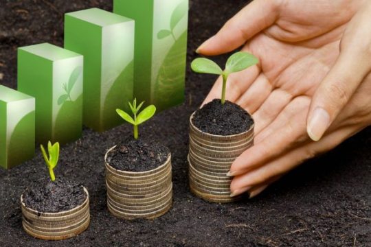 鷹普獲星展銀行批出2億港元3年期之綠色貸款