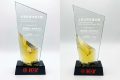 鹰普连续五年获香港股票分析师协会颁发 「上市公司年度大奖」并首度荣获「企业发展年度大奖」